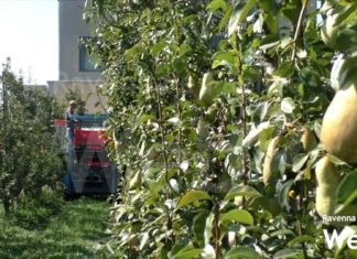 Agricoltura: la Regione punta sul biologico e le produzione sostenibile | VIDEO