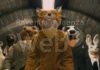È possibile rinunciare alla propria natura ? Appuntamento con Fantastic Mr. Fox e l’associazione Filò