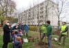 Festa degli Alberi alle scuole materne Panda e Gulli: messe a dimora nuove piante