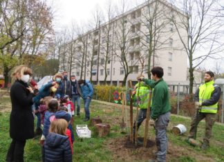 Festa degli Alberi alle scuole materne Panda e Gulli: messe a dimora nuove piante