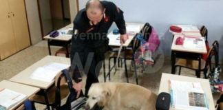 Controlli alle scuole: L’Arma e l’attività di prevenzione