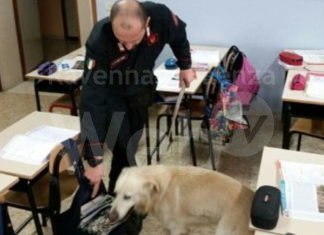 Controlli alle scuole: L’Arma e l’attività di prevenzione