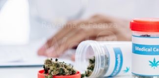 A Ravenna un incontro sull’uso della cannabis in medicina