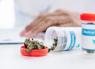 A Ravenna un incontro sull’uso della cannabis in medicina
