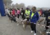 Maratona di Ravenna città d’Arte: Grande successo per la Frutta Bau Dogs & Run | VIDEO