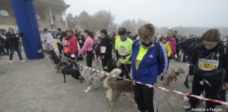 Maratona di Ravenna città d’Arte: Grande successo per la Frutta Bau Dogs & Run | VIDEO