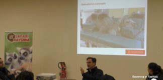 Gli studenti di Veterinaria al Safari Ravenna per studiare metodiche e diagnostiche per gli animali | VIDEO