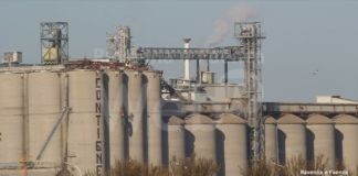 “Contiene foreste”: il messaggio scritto dagli attivisti di Greenpeace sui silos della Bunge |VIDEO