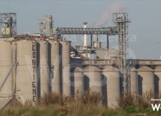 “Contiene foreste”: il messaggio scritto dagli attivisti di Greenpeace sui silos della Bunge |VIDEO