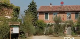 Il Carnè compie 50 anni: l’11 dicembre giornata dedicata al centro visite del Parco della Vena del Gesso | VIDEO