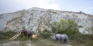 La fauna che abitava la Vena del Gesso 5 milioni di anni fa: doppio appuntamento nel weekend