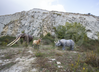 La fauna che abitava la Vena del Gesso 5 milioni di anni fa: doppio appuntamento nel weekend