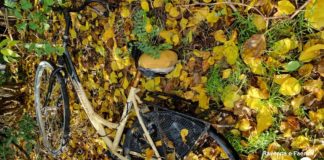 Da aprile la Piccola Oasi pulisce la città: “C’è disinteresse e si pensa sempre che ci debbano pensare altri” | VIDEO