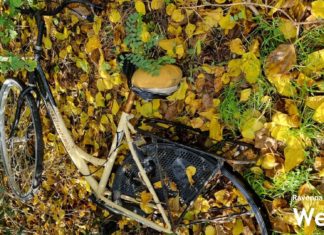 Da aprile la Piccola Oasi pulisce la città: “C’è disinteresse e si pensa sempre che ci debbano pensare altri” | VIDEO