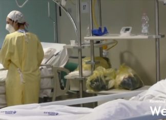Si fingono parenti ricoverati in ospedale per covid e chiedono soldi per le cure | VIDEO