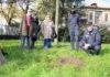 “Un albero per il futuro” alla scuola di Bagnacavallo