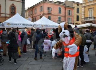 Dichiarazione di Angela Gulminelli, presidente Pubblica Assistenza Città di Ravenna