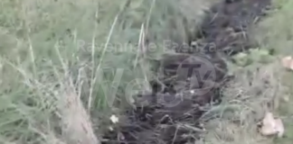 Sversamento in un fosso a Bagnara: danno ambientale. Comune: “Atteggiamento fra il criminale e il deficiente”