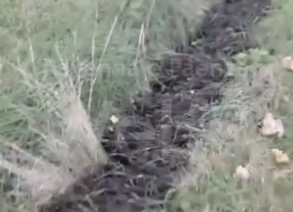 Sversamento in un fosso a Bagnara: danno ambientale. Comune: “Atteggiamento fra il criminale e il deficiente”