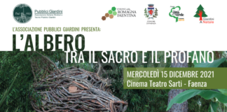 Convegno “L’Albero tra il Sacro e il Profano”