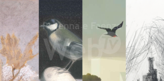 Una nuova sezione permanente al Museo Ugonia: “Omaggio a Giuseppe Ugonia”