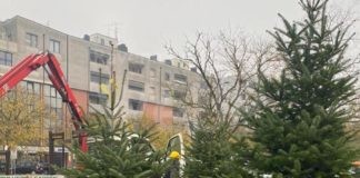 Esercenti quartiere Alberti: due domeniche di festa di Natale, il 12 e il 19. Il ricavato sarà devoluto all’AGEBO