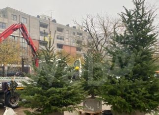 Esercenti quartiere Alberti: due domeniche di festa di Natale, il 12 e il 19. Il ricavato sarà devoluto all’AGEBO