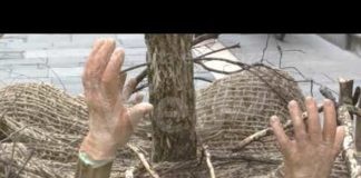 Giardini Divini, il Natale si racconta