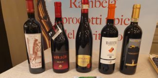 Ritorna “A che punto siamo?” la 18° edizione organizzata dal Consorzio il Bagnacavallo