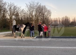 A.S.D. Scuderia del Borgo: Grazie al Comune!!!