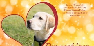 Due occhi per chi non vede, Ravenna FC in campo per donare un cane guida