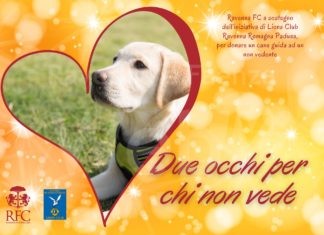 Due occhi per chi non vede, Ravenna FC in campo per donare un cane guida