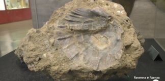 Pubblicata la guida dei geositi: per conoscere i luoghi dove ammirare i cambiamenti della Terra | VIDEO