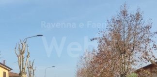Conselice, al via la potatura degli alberi nelle strade cittadine