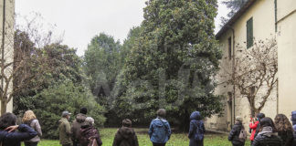 Pro Loco Faenza: Visite guidate e salita nel bosco-parco in occasione di “Musica nelle aie”