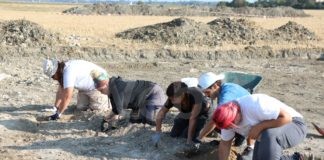 A MUSA museo del sale di Cervia una mostra sulle indagini archeologiche sul territorio