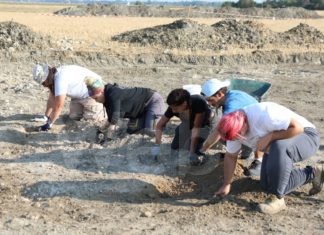 A MUSA museo del sale di Cervia una mostra sulle indagini archeologiche sul territorio