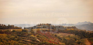 Un hub artistico e culturale sulle colline romagnole: nasce Crinale