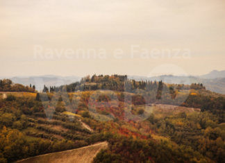 Un hub artistico e culturale sulle colline romagnole: nasce Crinale