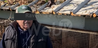 San Marco: lavora in allevamento di visoni senza mascherina. La denuncia di Essere Animali | VIDEO