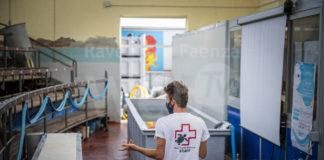 Il centro ricerche CESTHA, assume un divulgatore scientifico