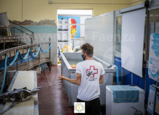 Il centro ricerche CESTHA, assume un divulgatore scientifico