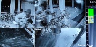 Ladri al negozio Due Ruote di Faenza: rubate 5 bici da diverse migliaia di euro | VIDEO