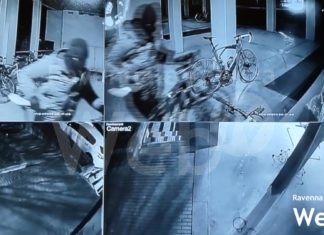 Ladri al negozio Due Ruote di Faenza: rubate 5 bici da diverse migliaia di euro | VIDEO