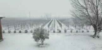 Protezione civile: allerta meteo gialla per vento e stato del mare dalla mezzanotte di oggi alla mezzanotte di domani
