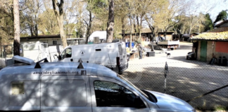 Ancisi (LpRa): Appaltata la raccolta delle carcasse di animali su strada