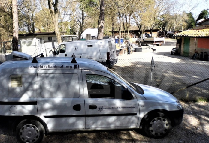 Schermata 2022-01-21 alle 09.12.46