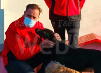 Cuore e Territorio dona coperte, plaid, tappeti e maglioncini per cani, al canile di Bizzuno