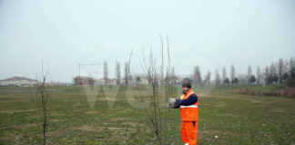 Bagnacavallo: Area verde Redino, messi a dimora 442 alberi e arbusti