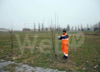 Bagnacavallo: Area verde Redino, messi a dimora 442 alberi e arbusti